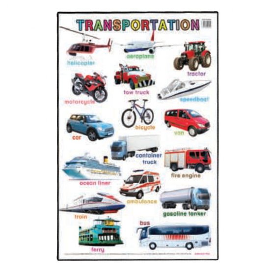 Educational Chart Transportation (MM01454)
