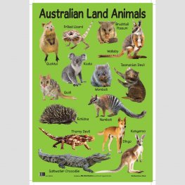 Educational Chart Australian Land Animals (MM07009)  Educational Chart Australian Land Animals (MM07009)