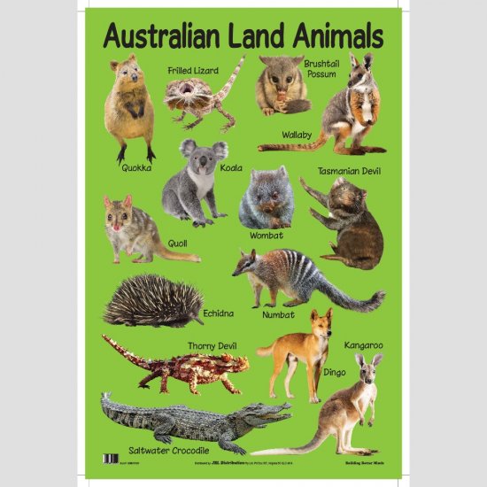 Educational Chart Australian Land Animals (MM07009)