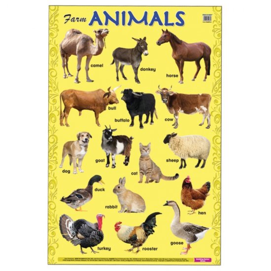 Educational Chart Farm Animals (MM14881)
