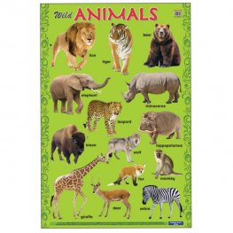 Educational Chart Wild Animals (MM14898)  Educational Chart Wild Animals (MM14898)