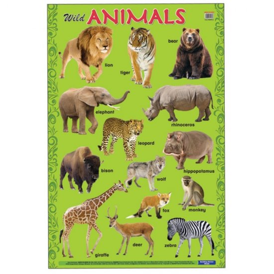 Educational Chart Wild Animals (MM14898)
