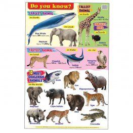 Educational Chart Do You Know (MM16304)  Educational Chart Do You Know (MM16304)