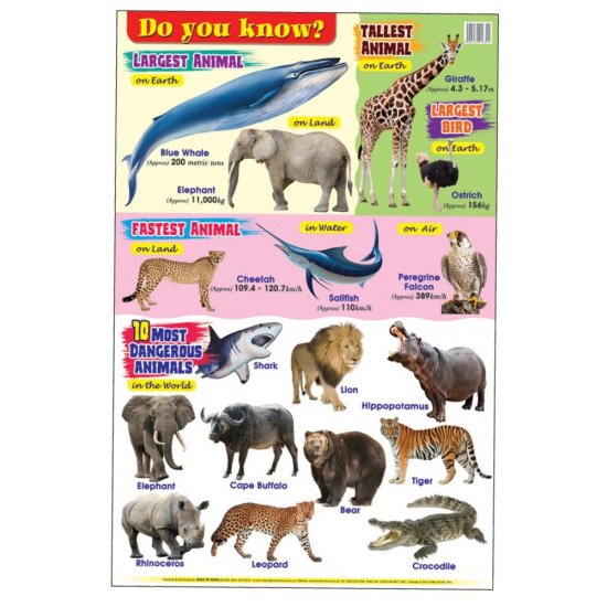Educational Chart Do You Know (MM16304)