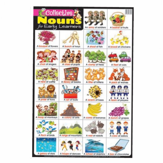 Educational Chart Collective Nouns for Early Learners (MM38704)